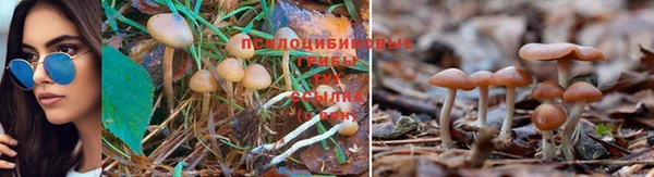 амф Алексеевка