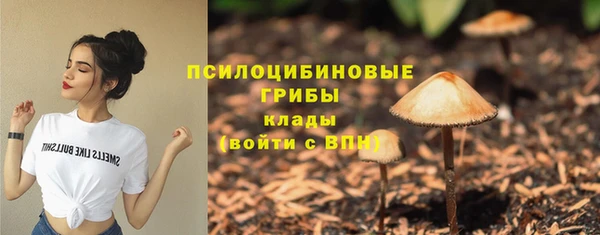 бошки Зерноград