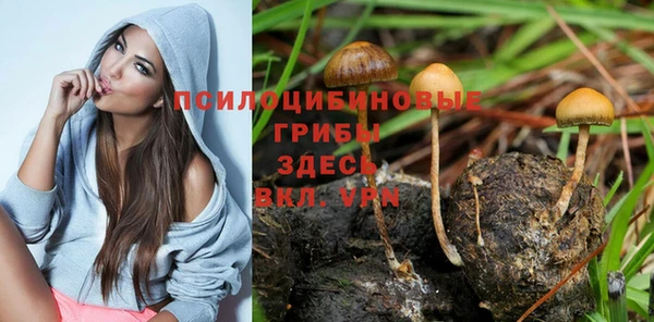 герыч Алексин